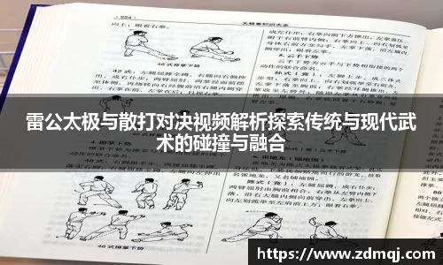 雷公太极与散打对决视频解析探索传统与现代武术的碰撞与融合